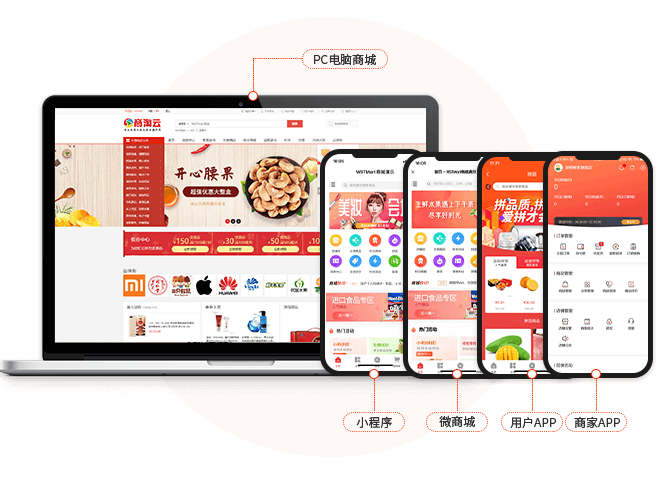 B2C电子商务网站全网营销